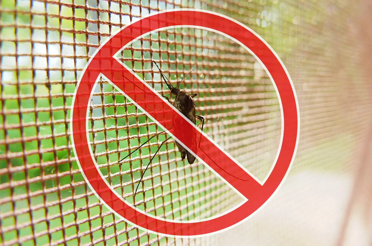 Provvedimenti per la prevenzione ed il controllo delle malattie trasmesse da insetti vettori e in particolare da zanzara tigre (Aedes albopictus) e da zanzara comune (Culex spp.)